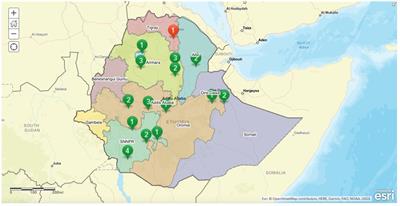 Advancing One Health through veterinary education: a mixed methods needs assessment for implementing a WOAH-harmonized national veterinary medicine curriculum in Ethiopia